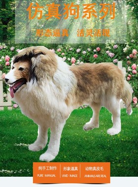 大型摄影道具展厅橱窗仿真动物