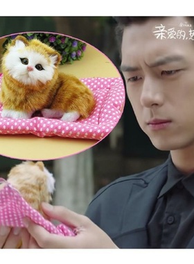 亲爱的热爱的同款会叫节日风模型