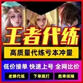 王者荣耀国服排位代练上星陪玩巅峰战力小国标国标（安卓苹果ios