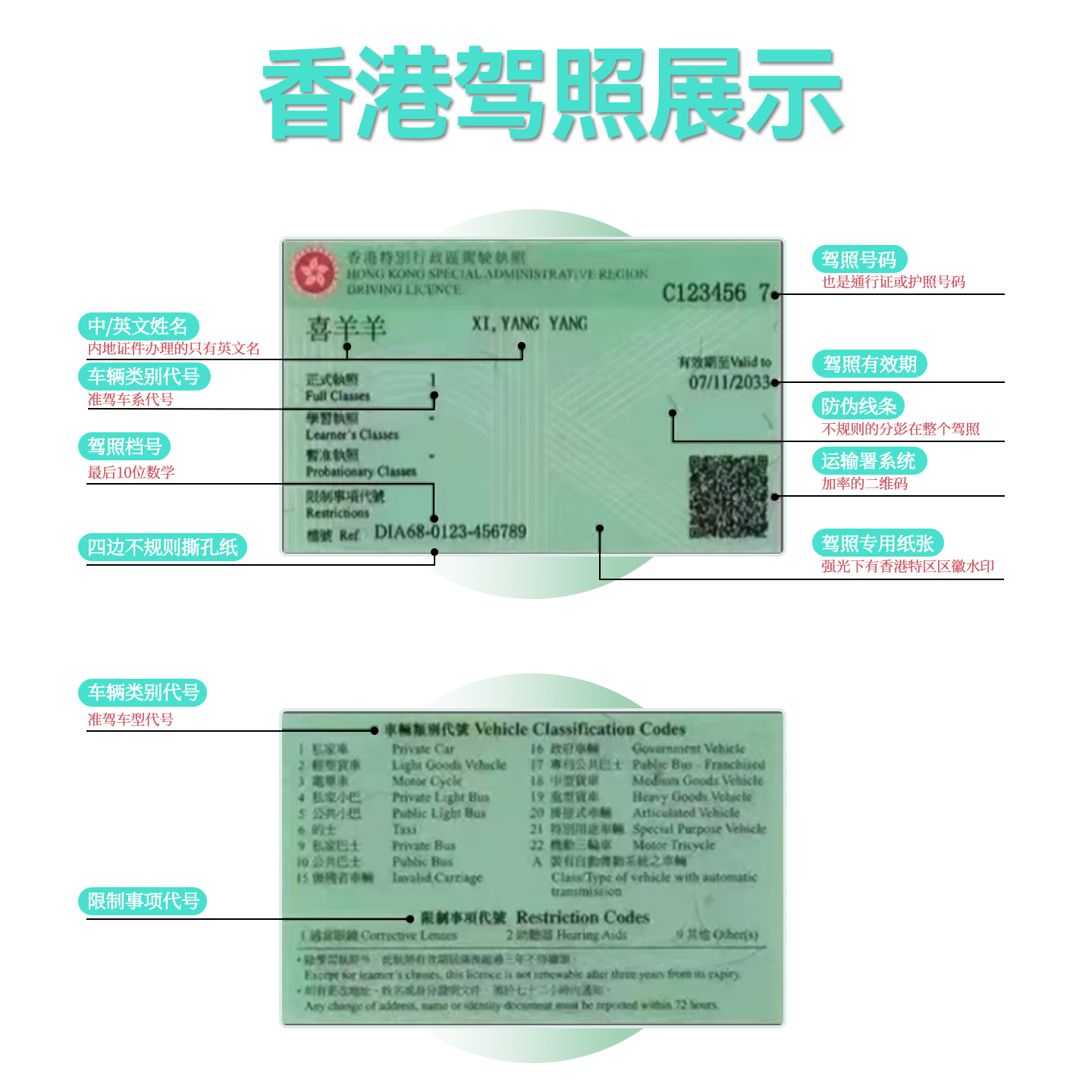 中国大陆驾照换香港驾照免试内地C1申领1私家车驾驶证运输署跑腿