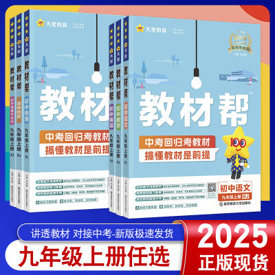 2024新版九年级下册同步教辅