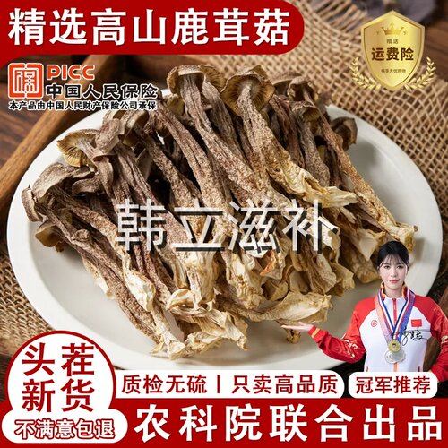 5A精品鹿茸菇干货特级500g正品官方旗舰店香菇蘑菇新鲜云南脆脆菇