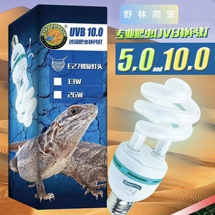 陆龟鬃狮蜥蜴UVB补钙灯爬宠恒温饲养箱紫外线爬虫晒背太阳灯10.0