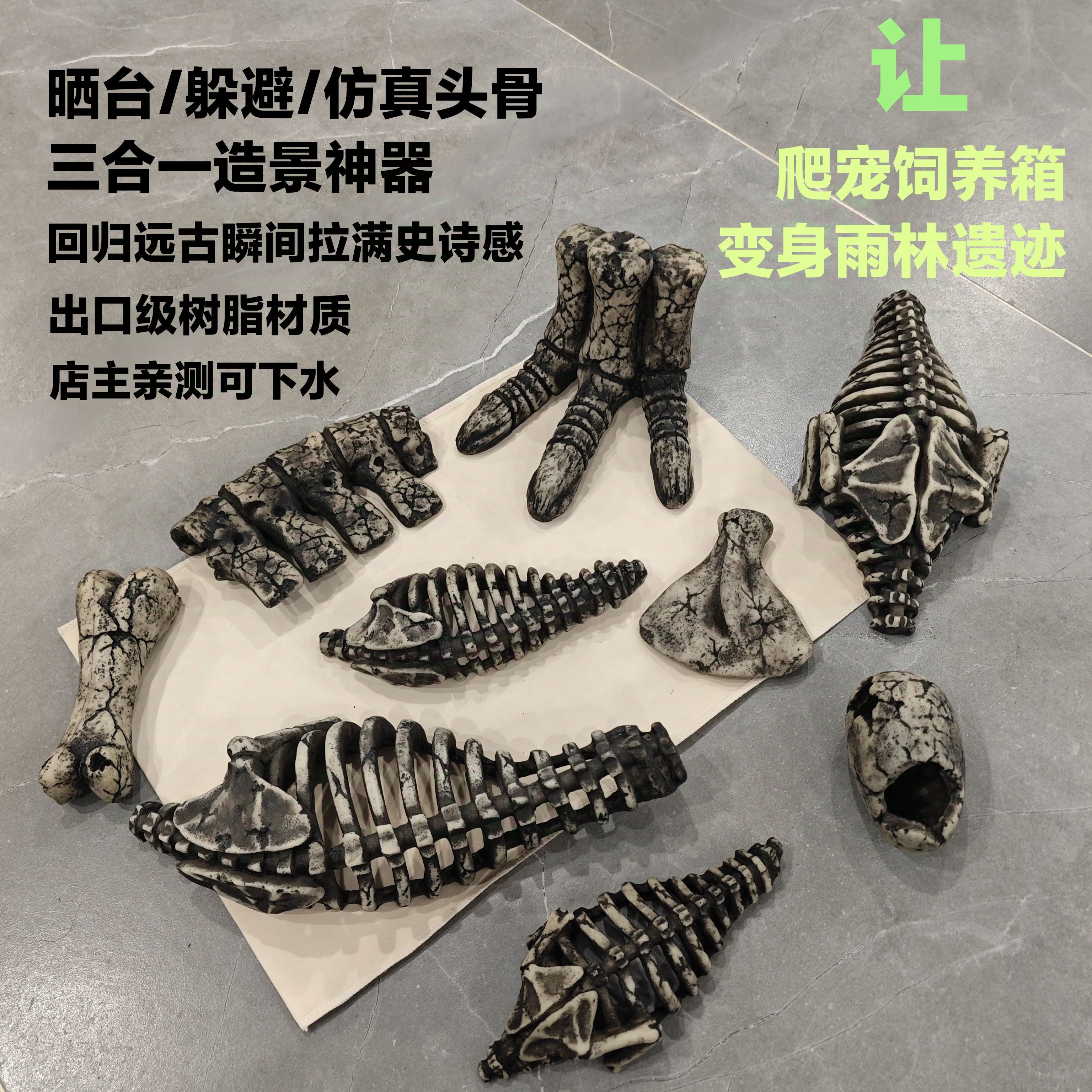 仿真恐龙头骨宠物蜥蜴爬虫屋造景爬宠饲养箱守宫蛇躲避窝鬃狮晒台