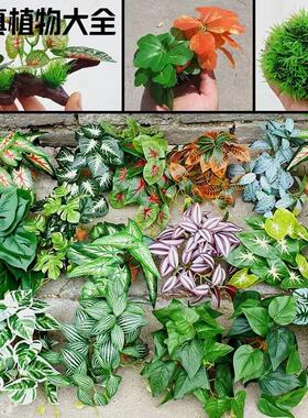 爬宠饲养箱仿真植物造景蜥蜴雨林缸高仿植物生态缸装饰水陆缸摆件