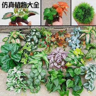 爬宠饲养箱仿真植物造景蜥蜴雨林缸高仿植物生态缸装饰水陆缸摆件