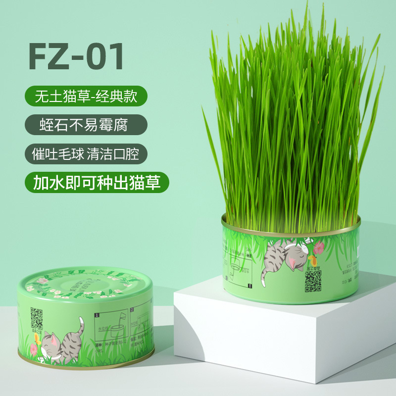 卷尾巴禾本猫草有机无土水培化毛