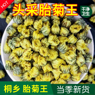 贡白菊野生清热 菊花茶正宗胎菊王250g桐乡特级花草茶小杭散装