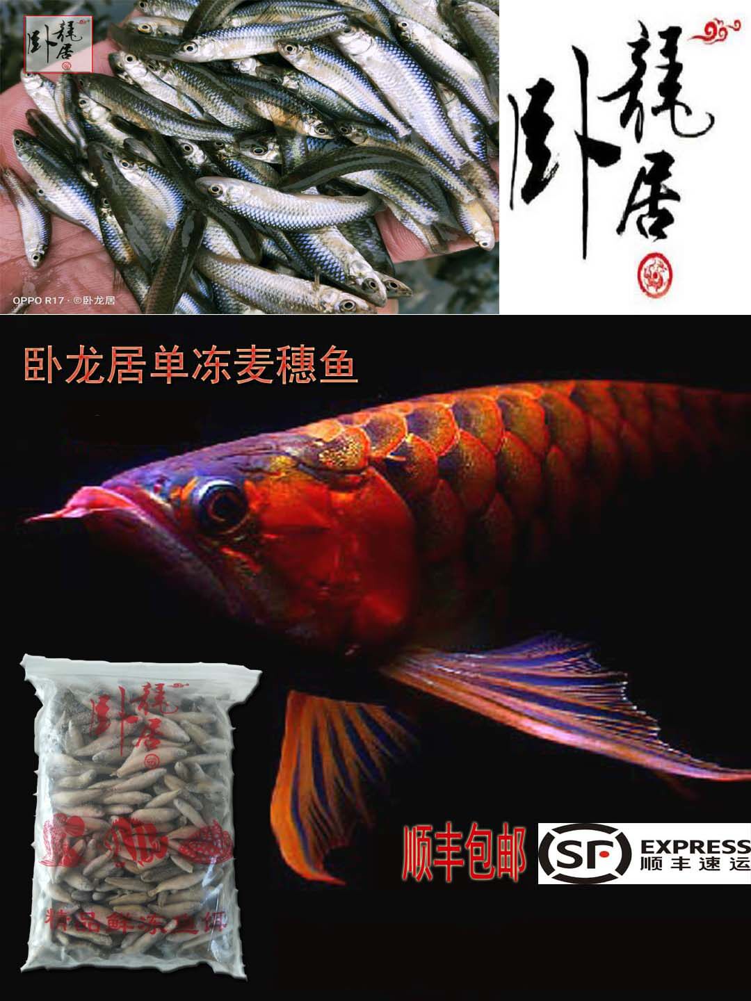 精工观赏鱼饲料卧龙居