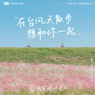 手写钢笔字体MAC电脑字体安装包中文字体下载PS电脑字体procreate