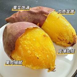 金香黄金榴莲蜜薯地瓜红薯丝滑香甜番薯网红榴莲蜜薯云南农家自种