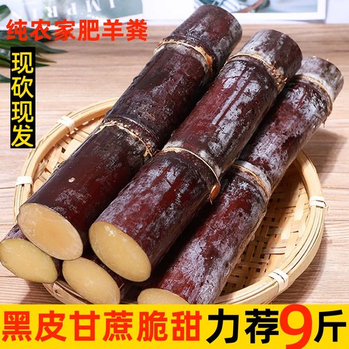 正宗广西黑皮甘蔗新鲜当季9斤孕妇水果脆甜多汁杆蔗榨汁果蔗特产5