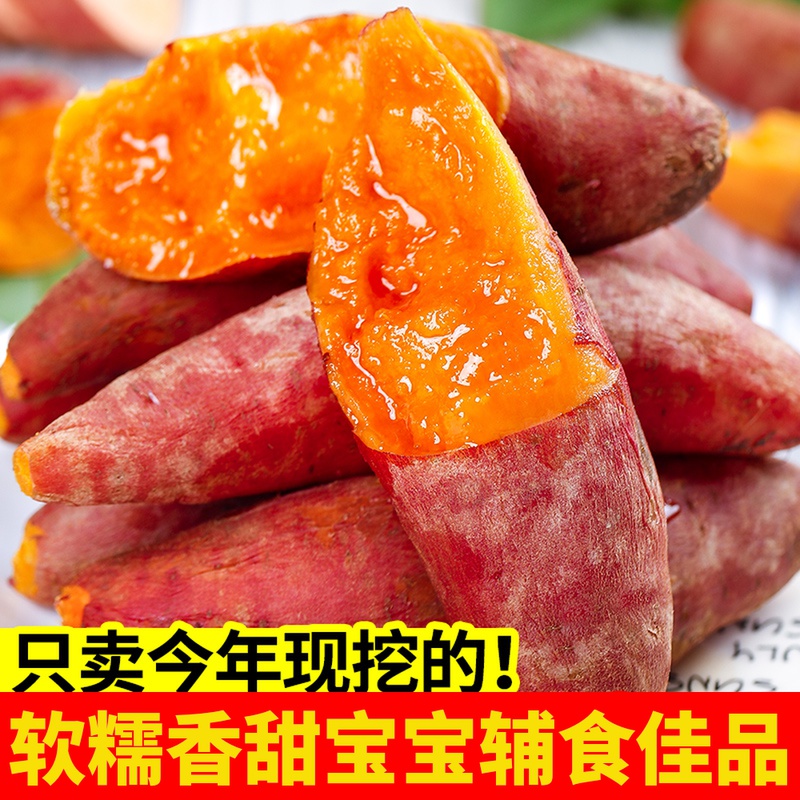 现挖新鲜板栗红薯沙地蜜薯烟薯10斤糖心红薯烤地瓜农家甜山芋番薯