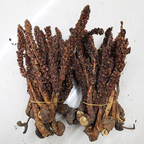 草苁蓉不老草泡酒料回春草