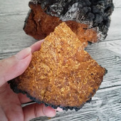 桦树泪 桦树桑黄 桦树茸 250克 长白山野生桦褐孔菌 包邮 白桦茸