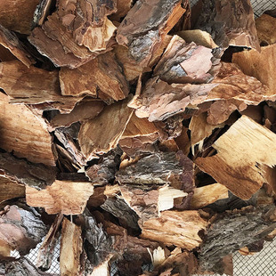 长白山野生松树皮 纯野生百年红松树皮 赤龙皮 赤龙鳞 皮 50g包邮