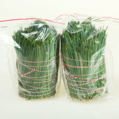 长白山野生松针茶新鲜松针叶红松针五针松针马尾松针酵素500g 包邮