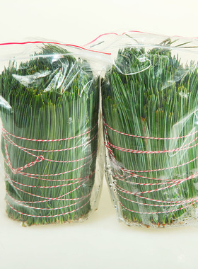 长白山野生松针茶新鲜松针叶红松针五针松针马尾松针酵素500g包邮