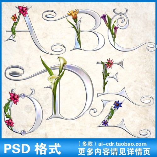 P108欧美复古风vintage银色花藤缠绕装饰英文艺术字母psd格式素材