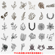 P0317手绘欧式植物花纹底纹PNG高清图