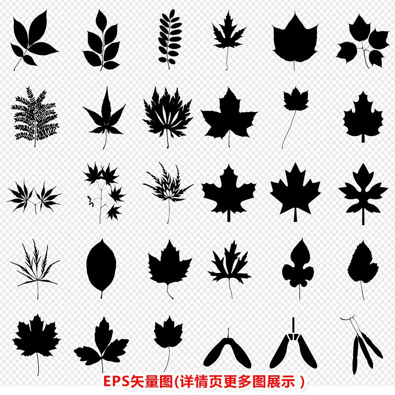 p0406树叶叶子剪影雕刻图eps矢量图