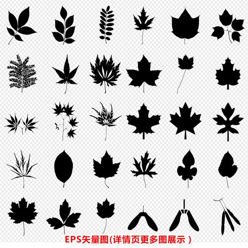 P0406树叶叶子剪影雕刻图EPS矢量图
