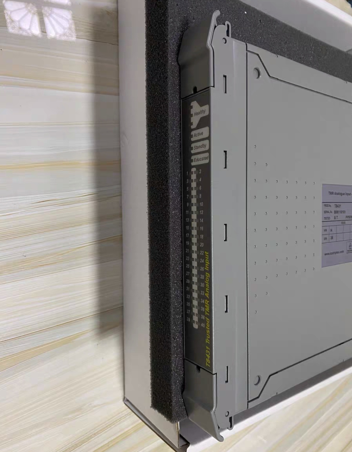 Triplex 罗克韦尔 ICS T8431