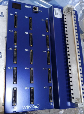 WINGD MCU 4CSP-PAAD323700 PAAD300767