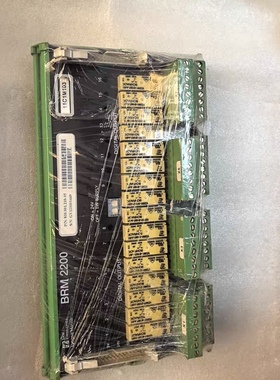 SAM BRM 2200 数字输出模块 BRM 2200 810.001.220-0