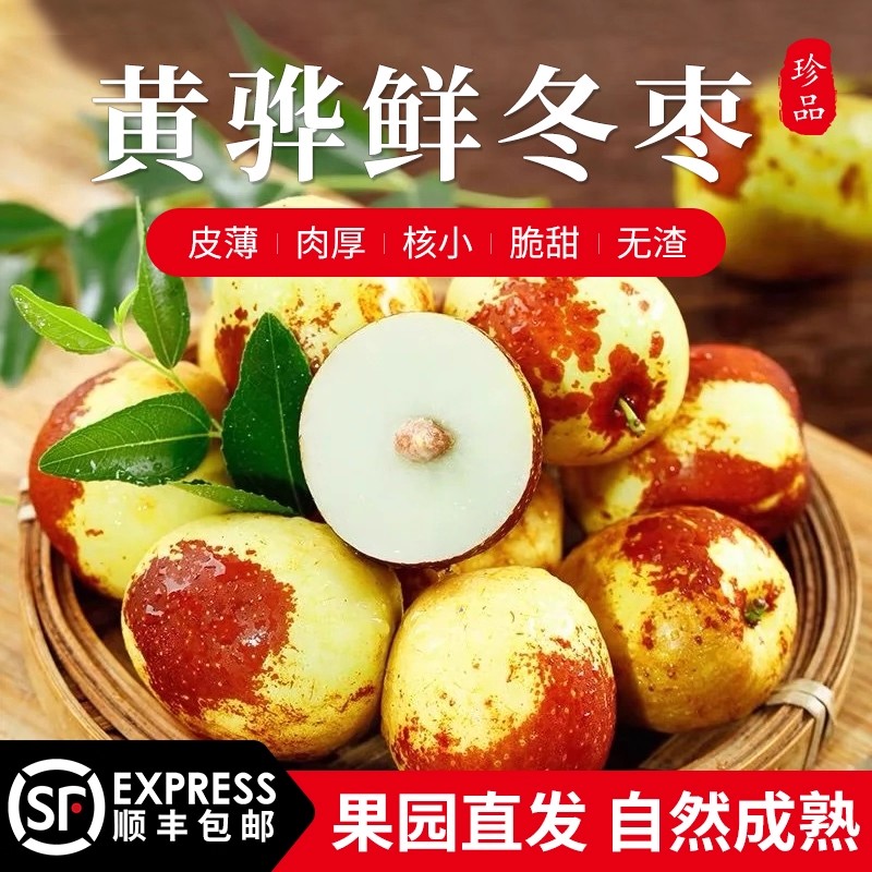 十月红黄骅5斤产地发货鲜冬枣