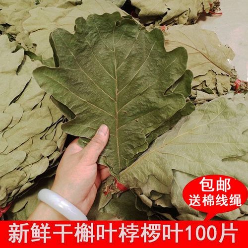 干粽叶新鲜菠萝叶100片