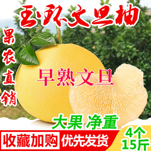 正宗玉环早熟文旦柚子新鲜水果