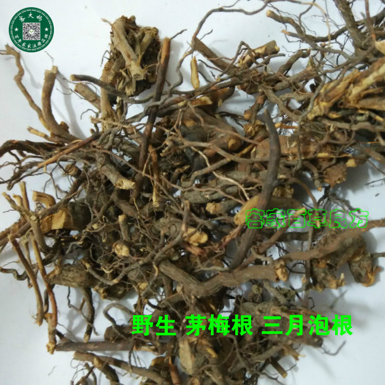 野生茅梅根茅莓根红梅消三月泡根小叶 蛇泡筋 拦路蛇 500克包邮