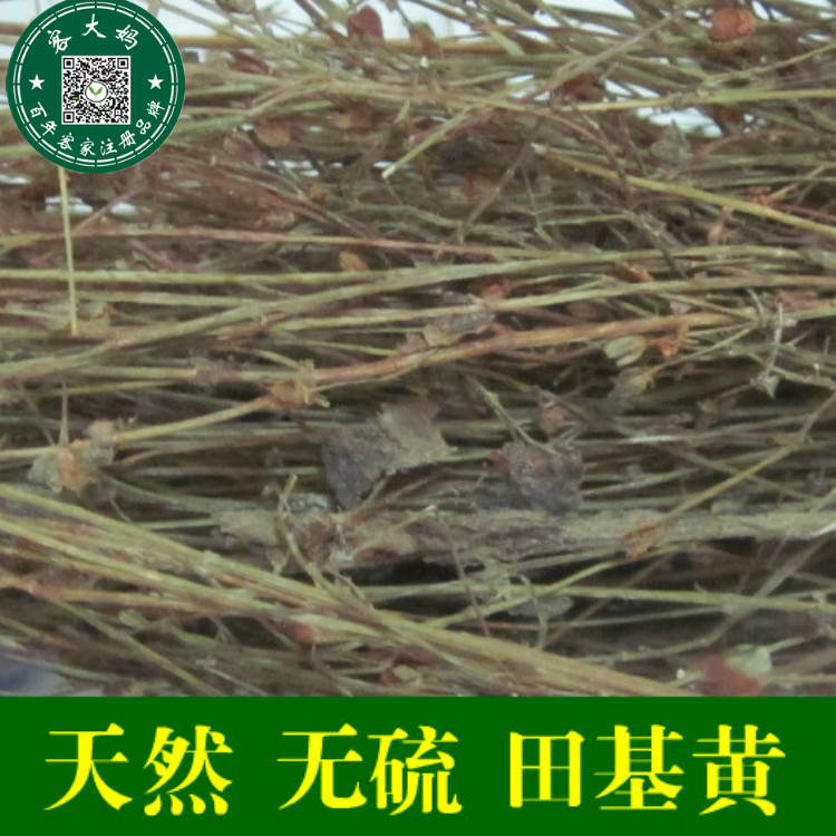 野生无硫真货 田基黄 地耳草 雀舌草 500g 新货 拍2件包邮