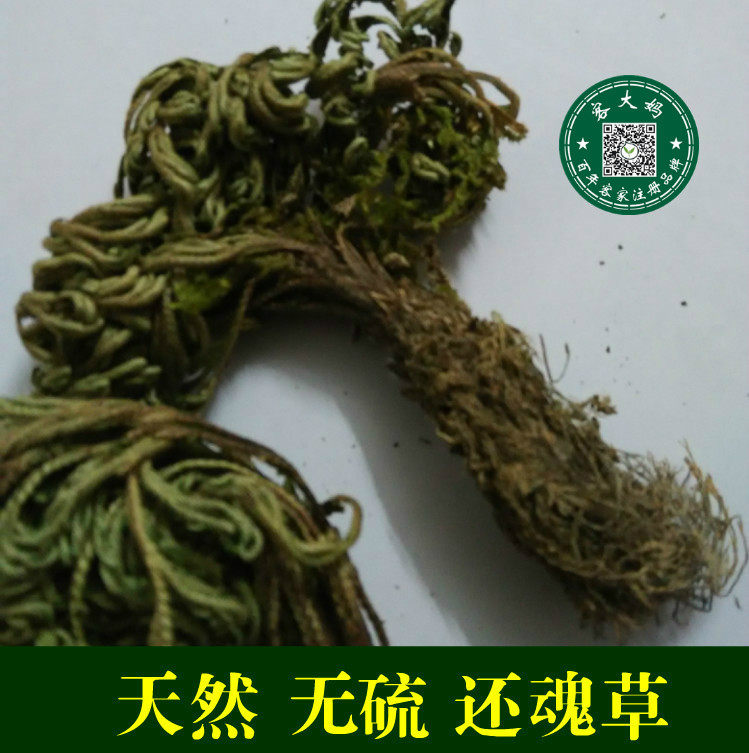 野生无硫卷柏 还魂草九死还魂草 长命草 长生不死草 500g包邮