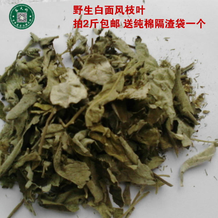 坐月子洗澡 白面风寻骨风清骨凤猫耳朵白毛藤500g枝叶2斤包邮
