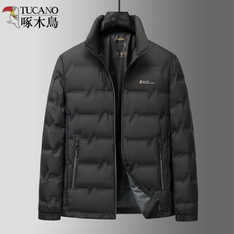 啄木鸟轻薄款羽绒服男士中年新款立领轻便白鸭绒休闲保暖爸爸外套