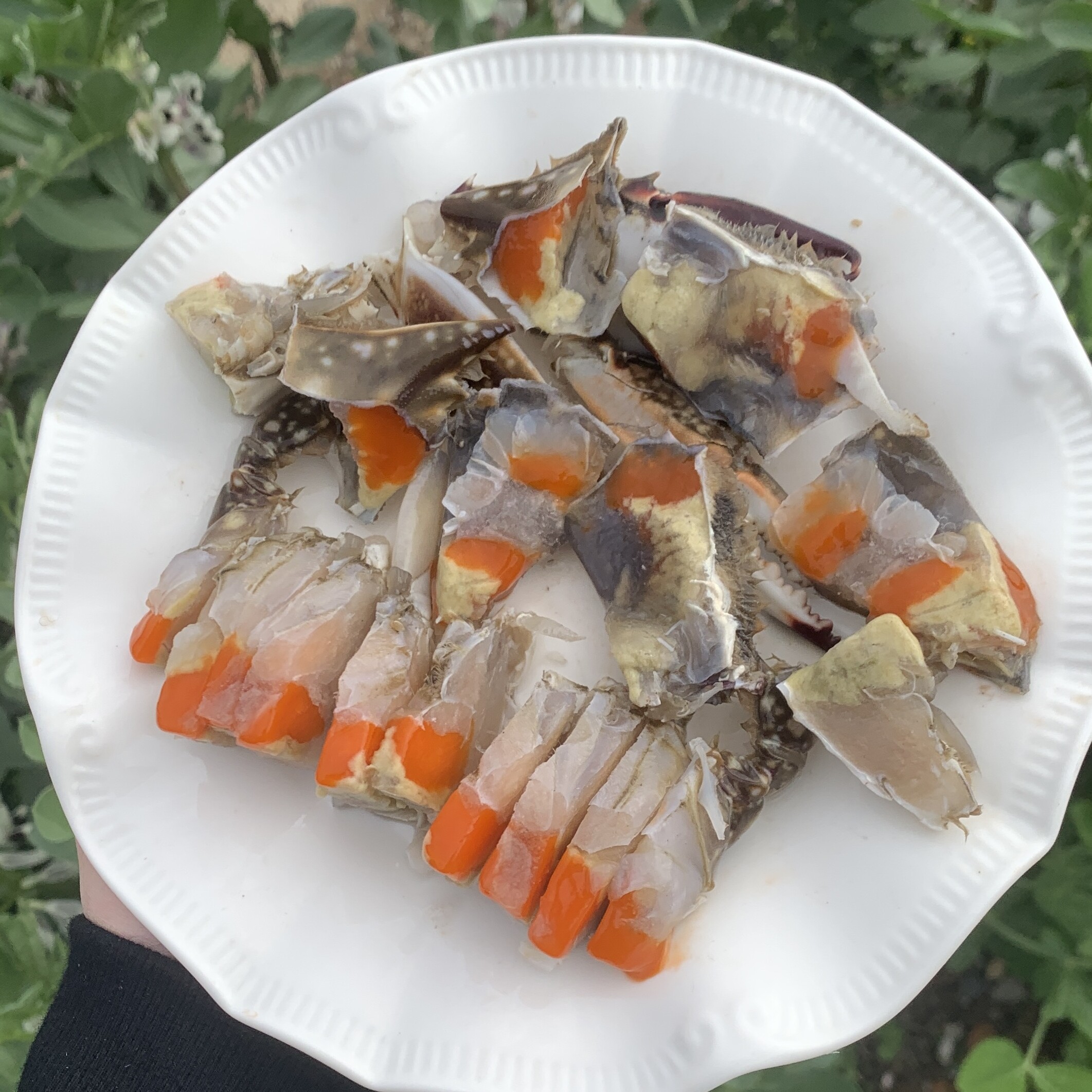 饭店品质飞机款炝蟹宁波舟山红膏呛蟹活蟹腌制即食净重3-4两