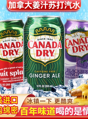 包邮加拿大Canada dry Ginger Ale 姜汁汽水干姜水生姜水8罐饮料