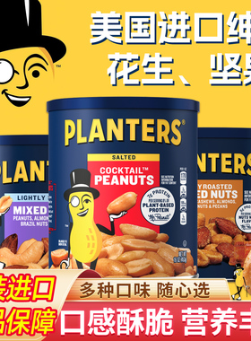 美国进口PLANTERS绅士牌果仁盐焗坚果鸡尾花生混合坚果Mixed nuts
