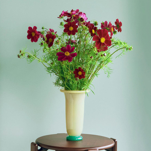 Vase花瓶桌面玻璃装 Empire HAY 饰北欧精致摆件 25年新品