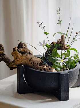 天然树根摆件微景观鱼缸造景插花禅意枯木根雕艺术品装饰摆设