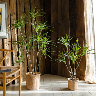 仿真龙血树盆栽大型仿生假绿植树室内客厅办公大堂千年木仿真植物