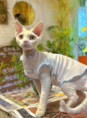 猫咪衣服夏天薄款德文无毛猫蓝猫布偶打底衫空调服宠物狗狗衣服