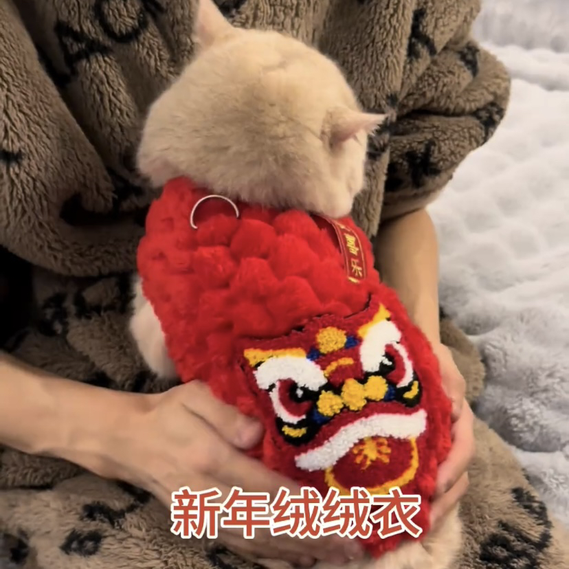 现货速发猫咪过年衣服新年装