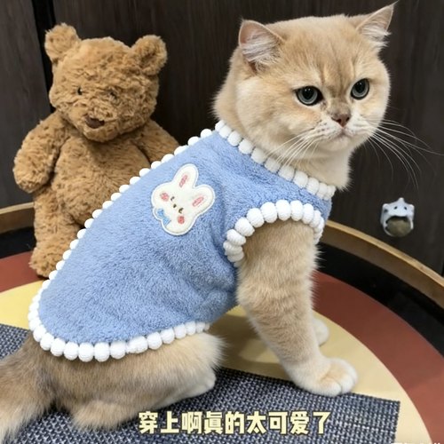 猫咪衣服冬加厚款可牵引2025新款布偶蓝猫金渐层橘猫英短宠物棉衣
