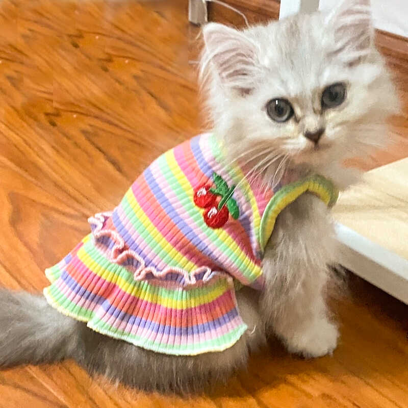 猫咪衣服幼猫春秋款宠物猫狗布偶公主裙可爱彩虹条纹吊带背心裙子