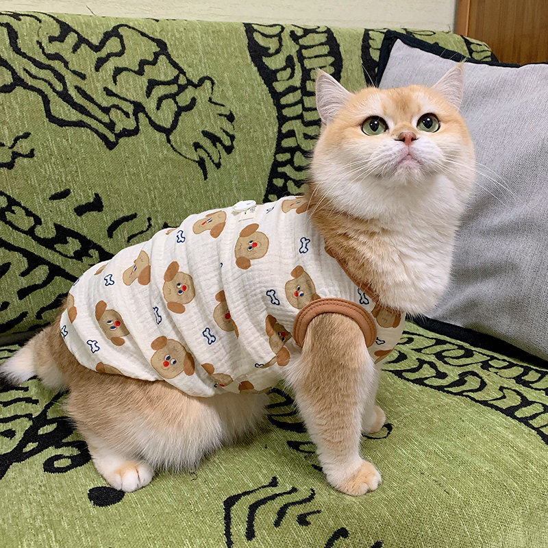 猫咪衣服夏季薄款透气棉纱防掉毛可牵引布偶缅因金渐层宠物背心图片