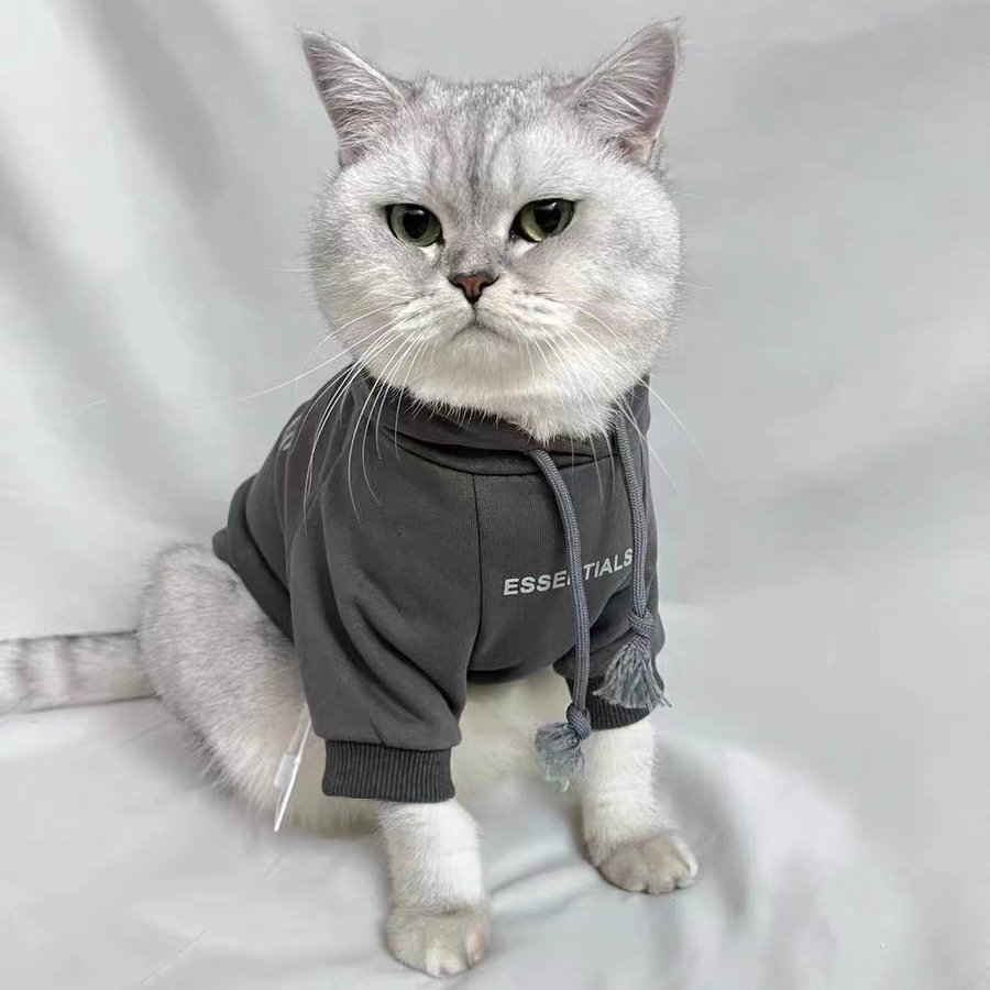 猫咪冬季衣服秋装公猫帅气