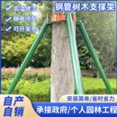 钢管树木支撑架树木绑带固定器园林防风大树撑杆苗木支撑杆护树架